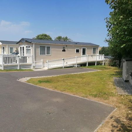 Hakuna Matata Holiday Home New Quay Eksteriør billede
