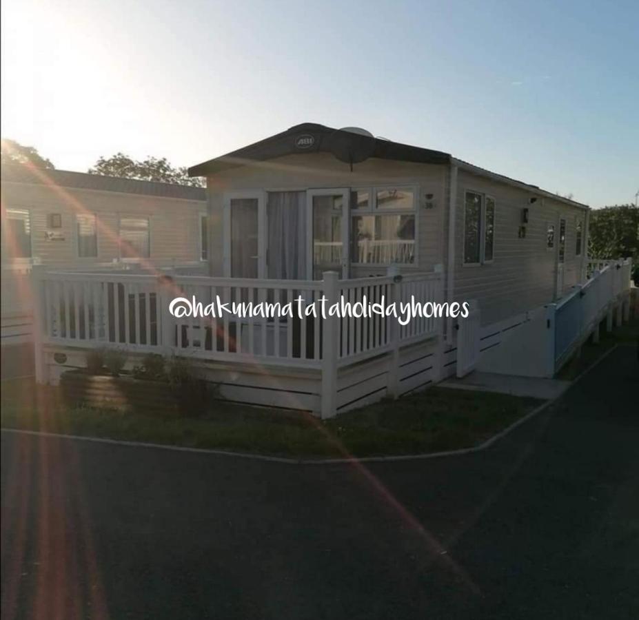 Hakuna Matata Holiday Home New Quay Eksteriør billede