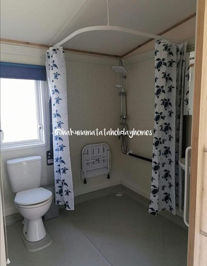 Hakuna Matata Holiday Home New Quay Eksteriør billede