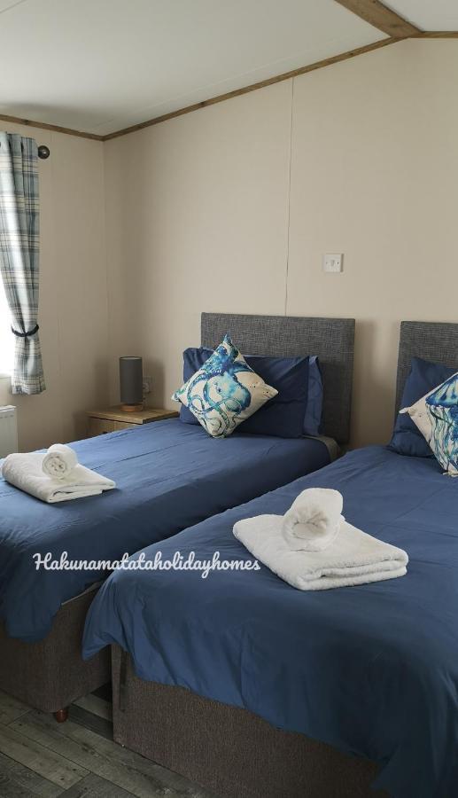 Hakuna Matata Holiday Home New Quay Eksteriør billede