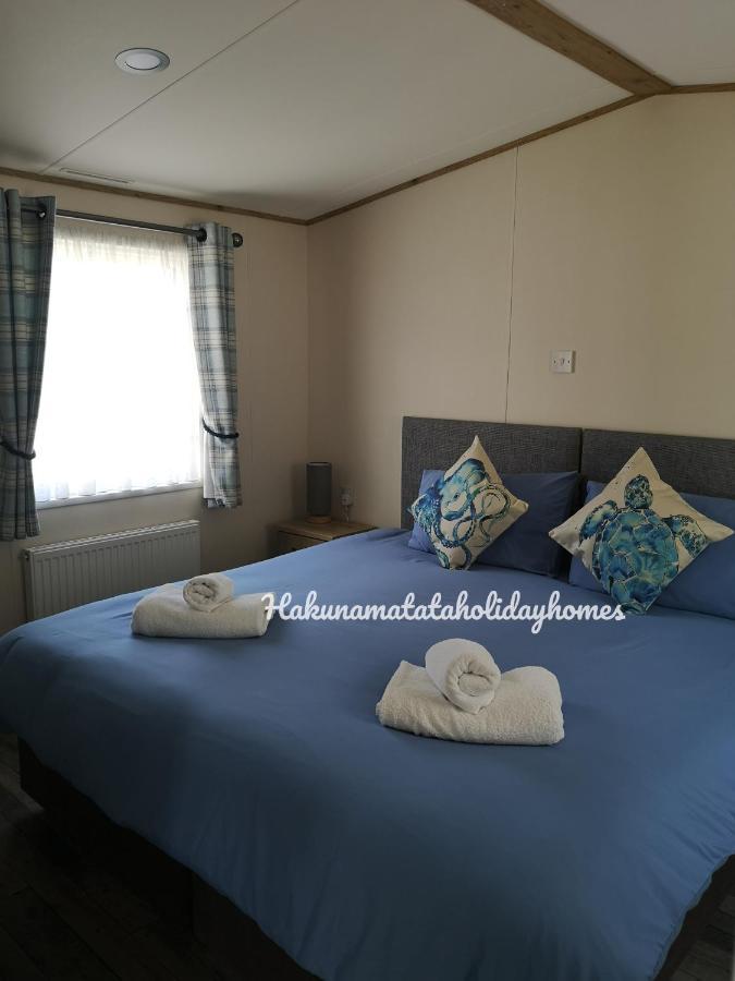 Hakuna Matata Holiday Home New Quay Eksteriør billede